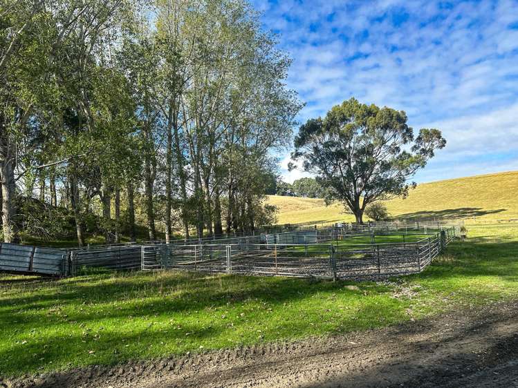 144 Block Road Pukeawa_14