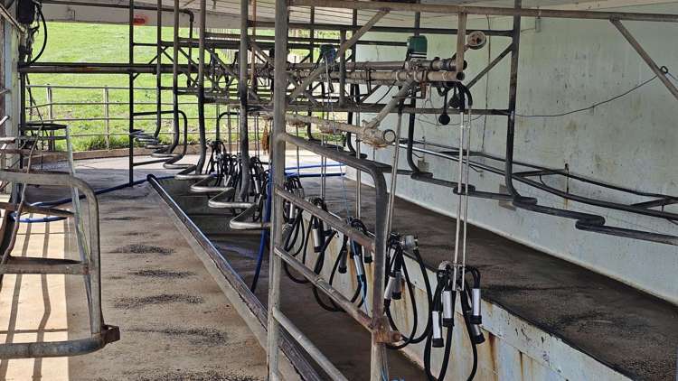 412C Upper Ohauiti Road Ohauiti_9