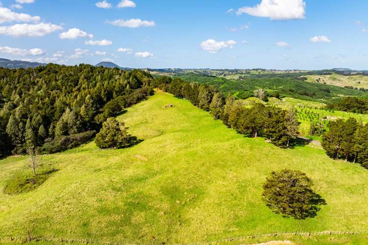 Baker Road Maungatapere_6