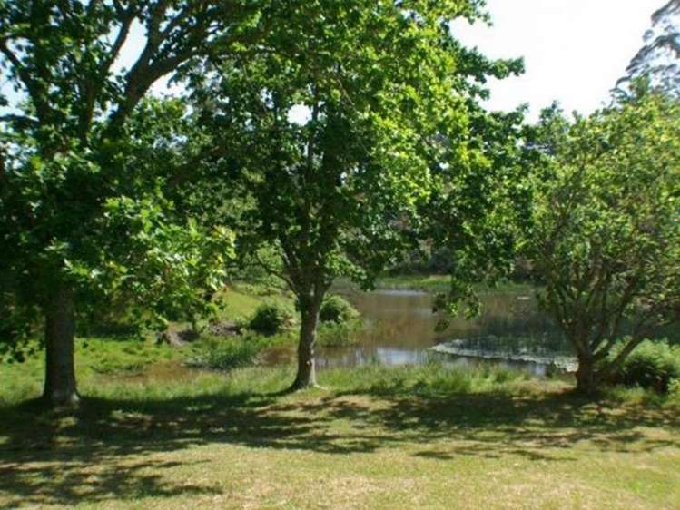 67 Wiroa Road Kerikeri_3