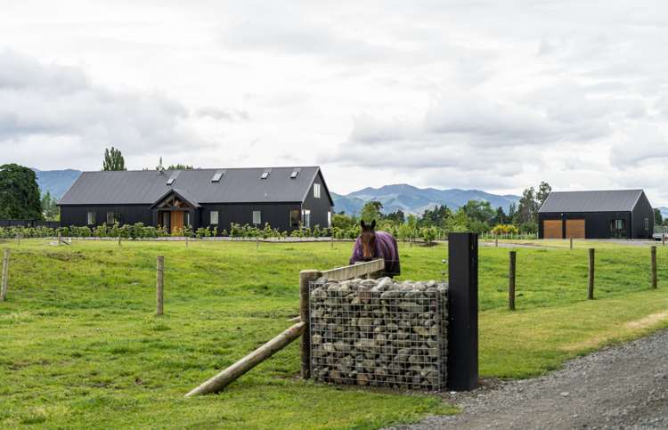 208a Wood Street Woodside_24