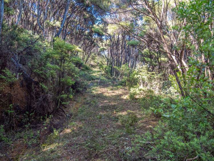 458F Hihi Road Hihi_20