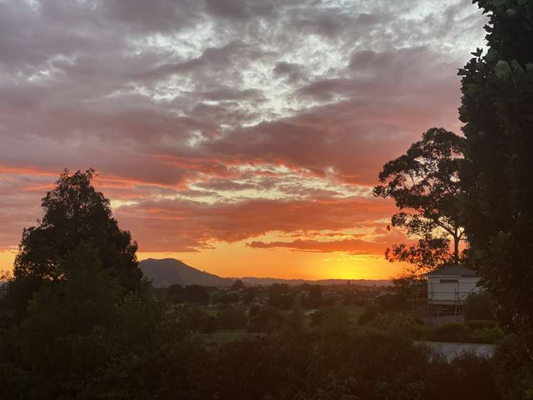 1610 Cambridge Road Te Awamutu_20