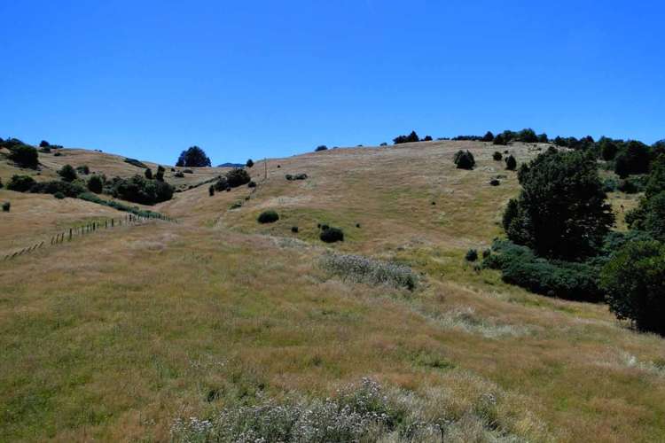 135 Canaan Road Kahurangi National Park_10