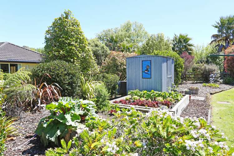 31 Monument Road Clevedon_13