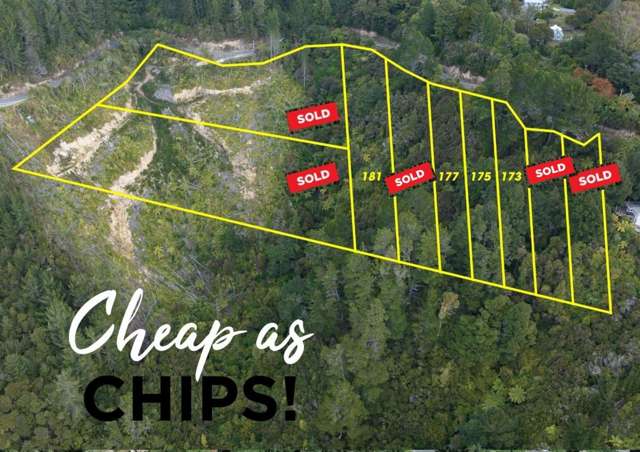 Endless Possibilities!