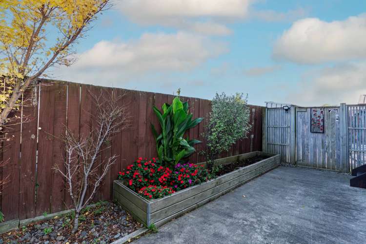 82a Vogel Street Roslyn_15