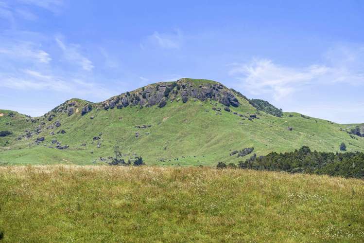 113 Wayby Station Road Wellsford_39