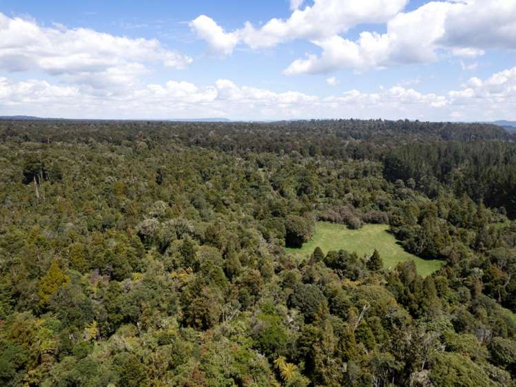 205 Mangaturuturu East Road National Park_17