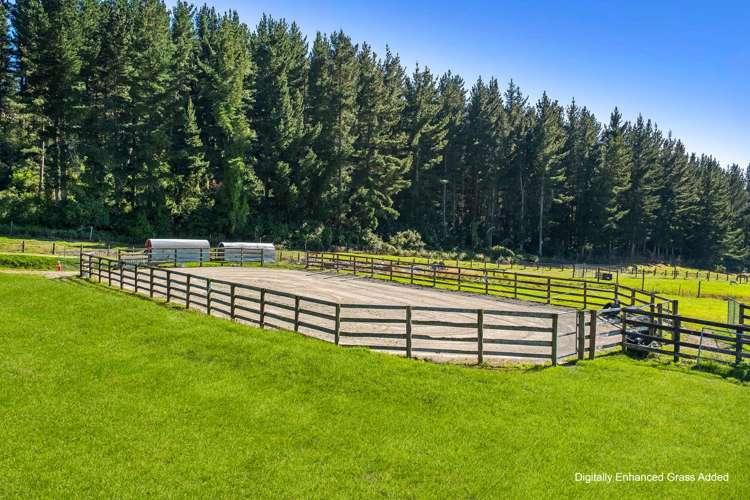 119 Townsend Road Geraldine_2