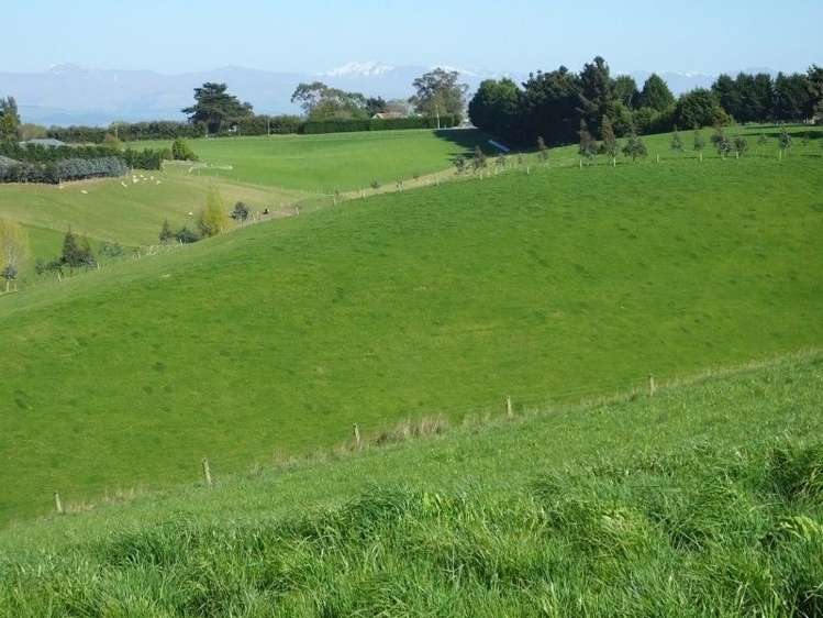 6/102 Beach Road Oamaru_3