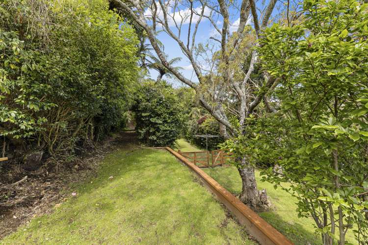 186b Huatoki Street Upper Vogeltown_16