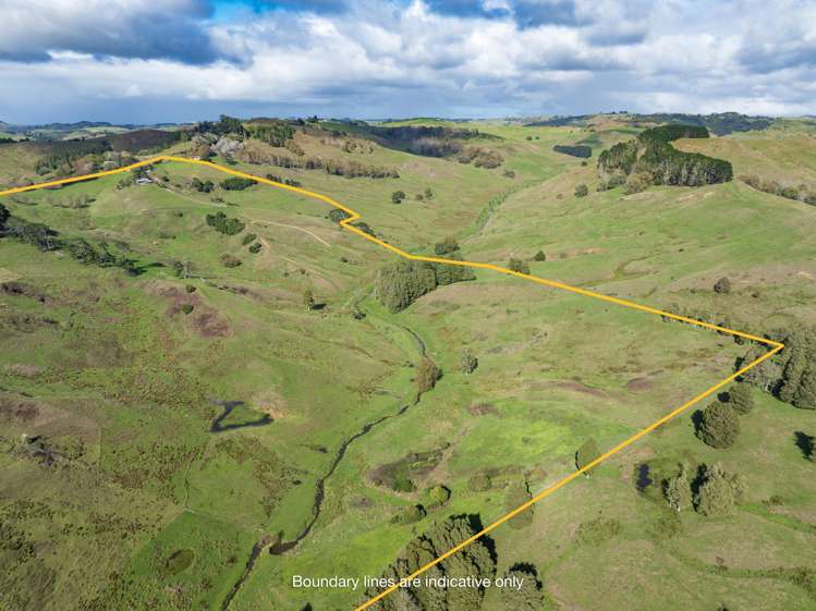 844 Wairamarama Onewhero Road Onewhero_28