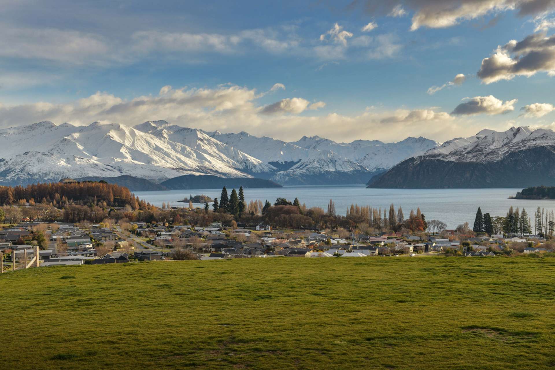 Top Paddock Wanaka_0