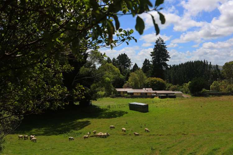 2580 Pourerere Road Central Hawkes Bay Coastal_33