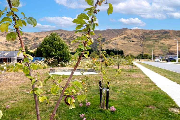 Studholme Rise Wanaka_7