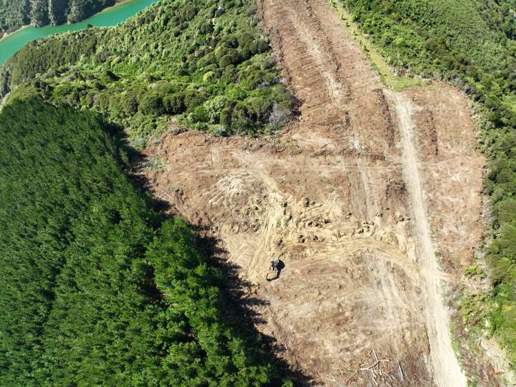 Finlayson Road Taieri Mouth_7