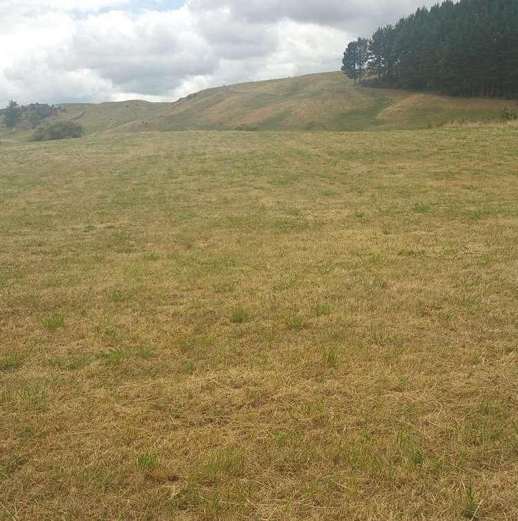 261 Old Taupo Road Hillcrest_2