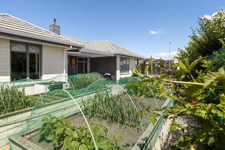 5 Corsair Crescent Blenheim_27