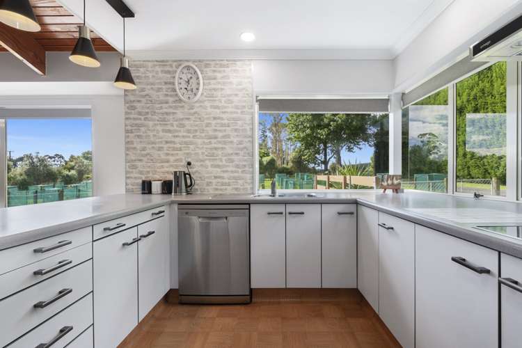 400 Mclaren Falls Road Kaimai_5