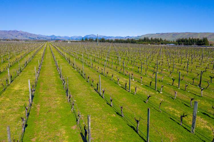 97 Shandon Road Waihopai Valley_7