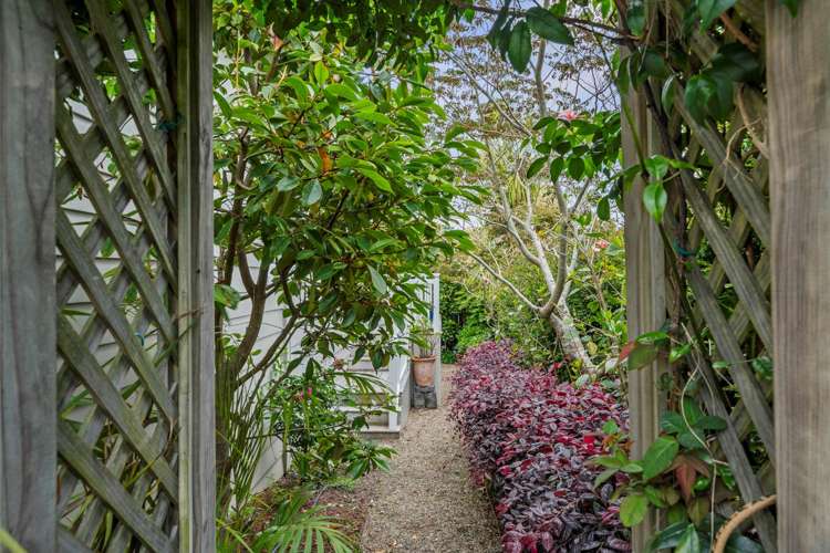 7a North Avenue Narrow Neck_22