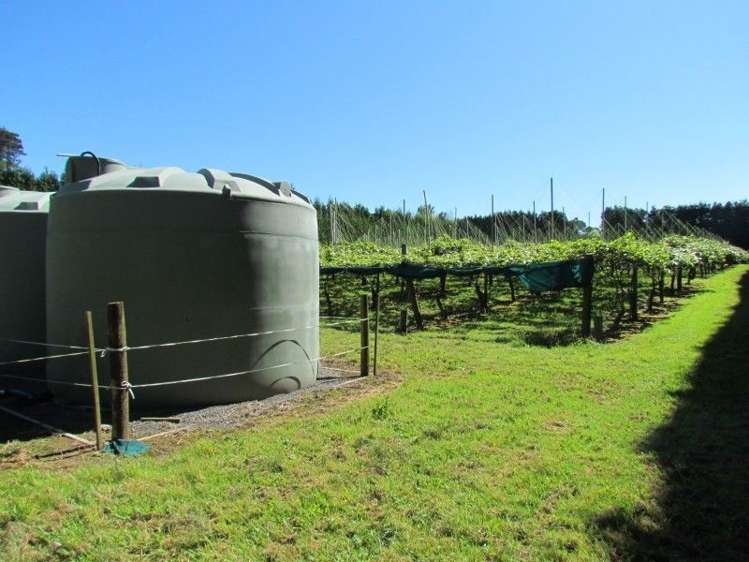 39 Sedgemoor Lane Hauraki Surrounds_18