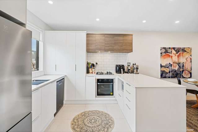 34 Whimbrel Road Flat Bush_1