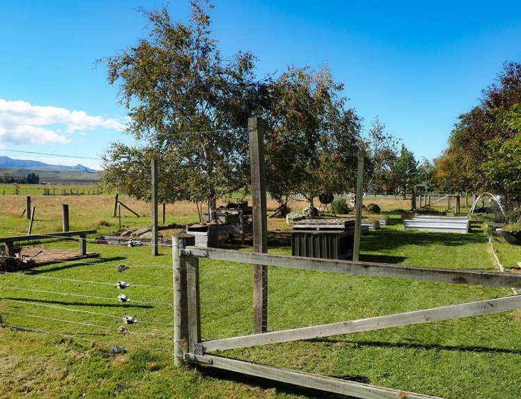 321 Clayton Road Fairlie_14