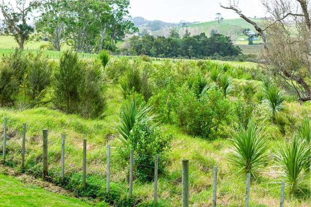 Lot 2 Minnie Casey Rise Matakohe_1