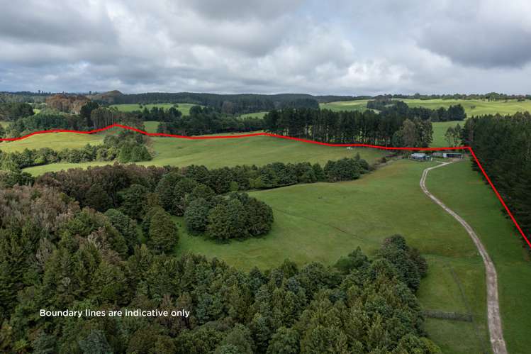 2603 State Highway 41 Kuratau_13