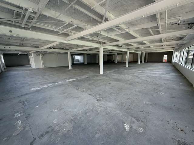 147 Tory Street Te Aro_1