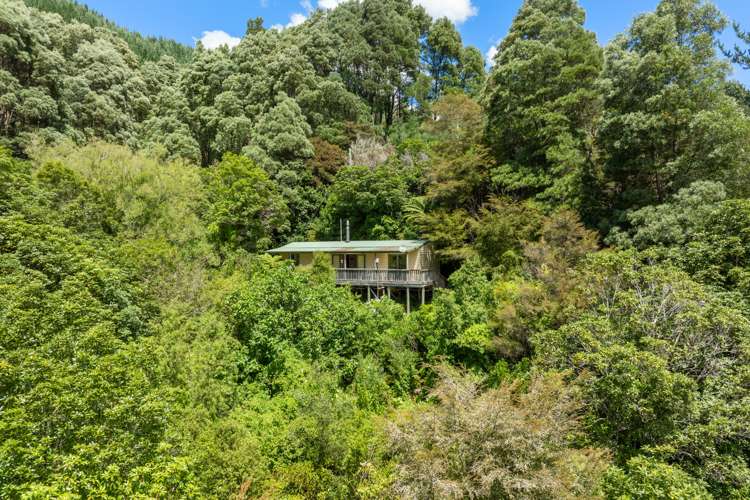 1160 Wakamarina Road Havelock_18