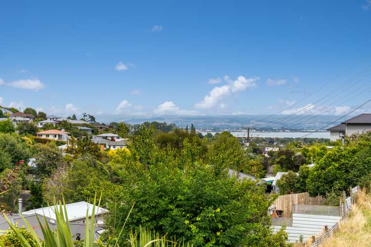 62 Torlesse Street Enner Glynn_5