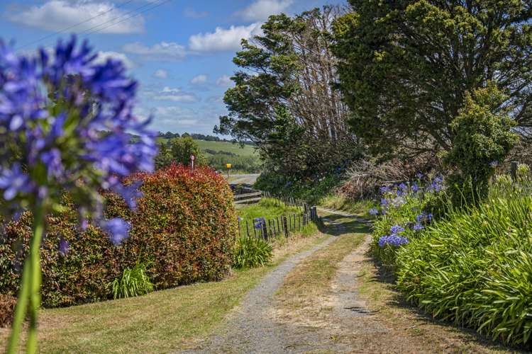 625 Ormandy Road Mangapai and Surrounds_25