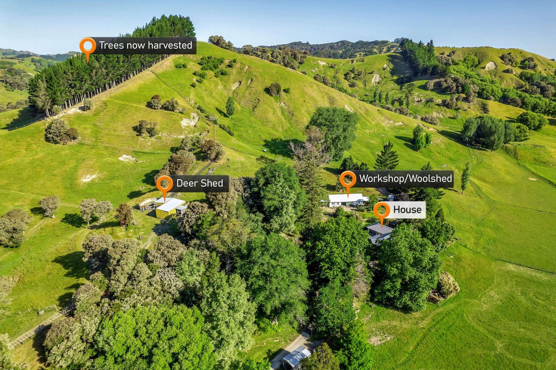 156 Bond Road Ormond_0