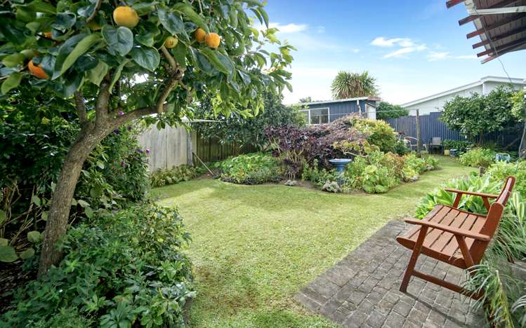 39b Queen Street Te Puke_1