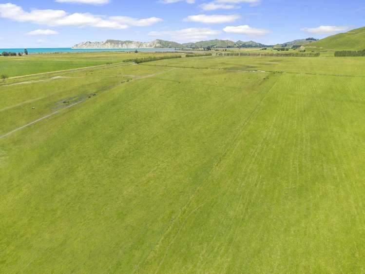 1343 Wharerata Road Muriwai_20