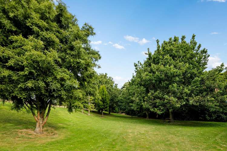 77 Harrowfield Drive Harrowfield_31