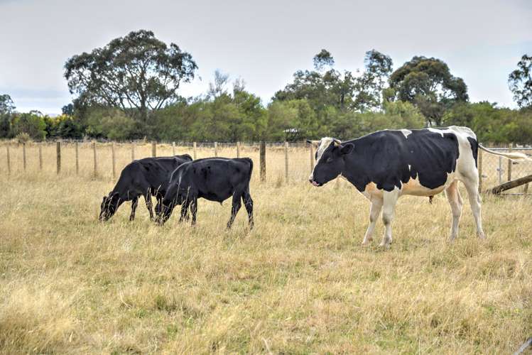 48 Jordan Road Carterton_23