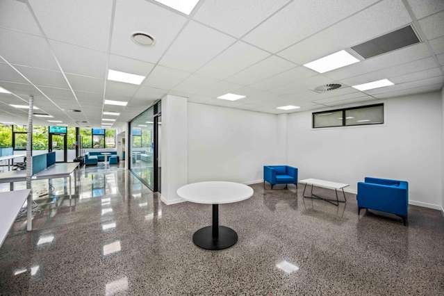 4 Murdoch Road Grey Lynn_3