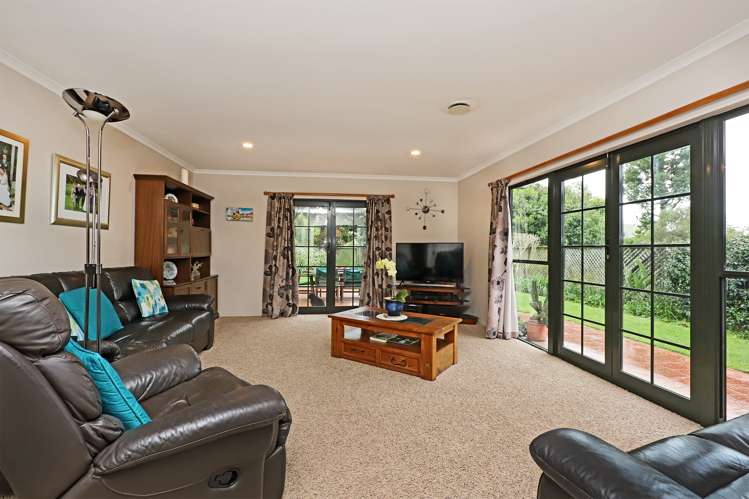 31 Kent Terrace Taradale_6
