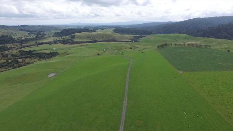 2491 State Highway 4 Owhango_0