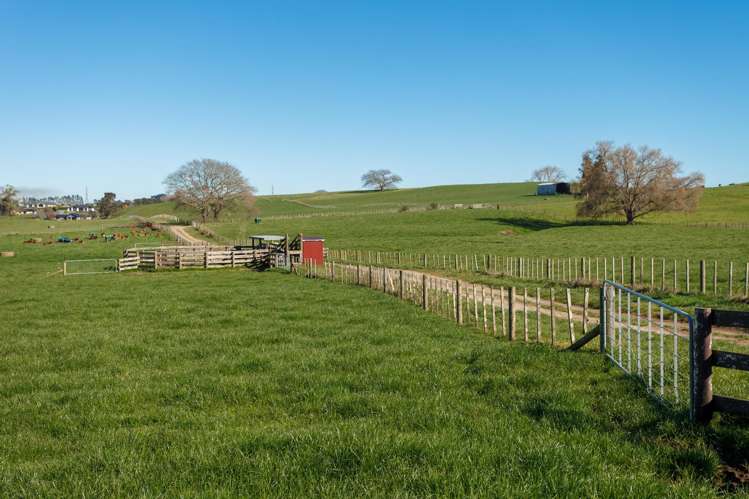 Morrinsville-Tahuna Road Morrinsville_13