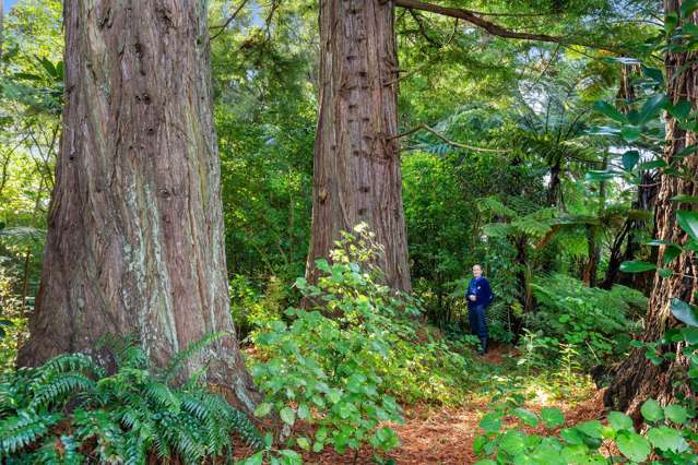 26 Gladstone Road Levin_3