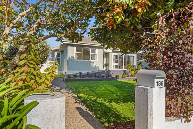 186 Bath Street Levin_25