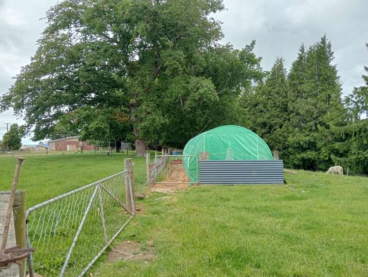 55 Otahu-Eastern Bush Road Eastern Bush_12