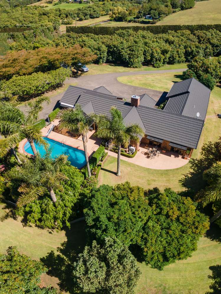 Old Highway Whakamarama_1