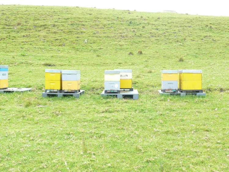 807 Puketona Road Haruru_14