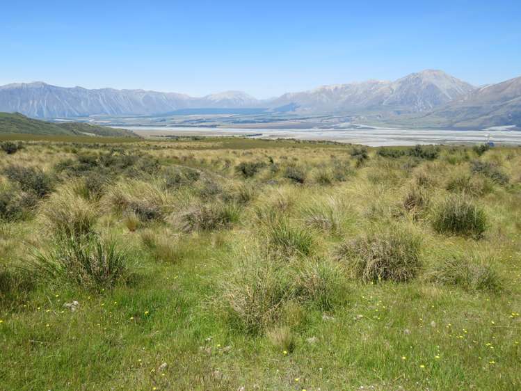 2131 Hakatere Potts Road Mesopotamia_14